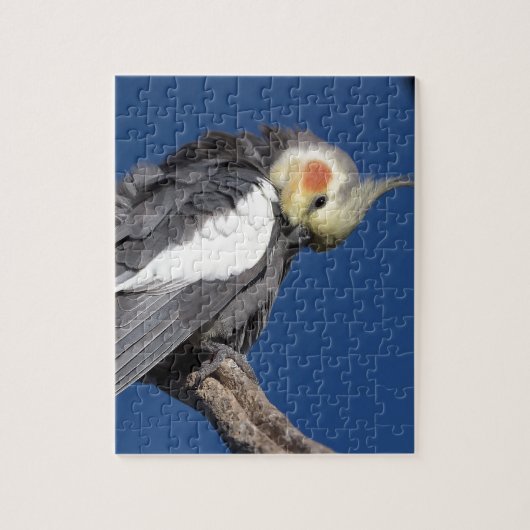 Puzzle Cockatiel (Vertical)