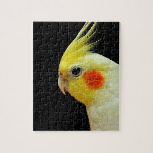 Puzzle Cockatiel de Lutino