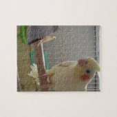 Puzzle Cockatiel Fun (Horizontal)