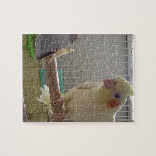 Puzzle Cockatiel Fun (Horizontal)