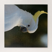 Puzzle Cockatoo blanc exotique (Horizontal)