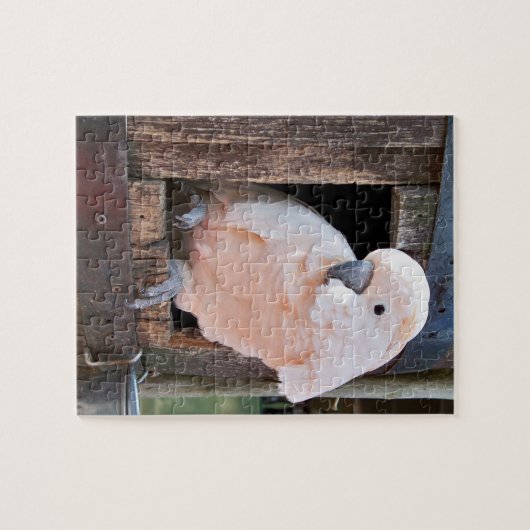 Puzzle Cockatoo Moluccan (Horizontal)