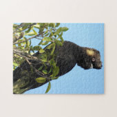 Puzzle Cockatoo noir à queue jaune (Horizontal)