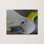 Puzzle Cockatoos australiens (Horizontal)