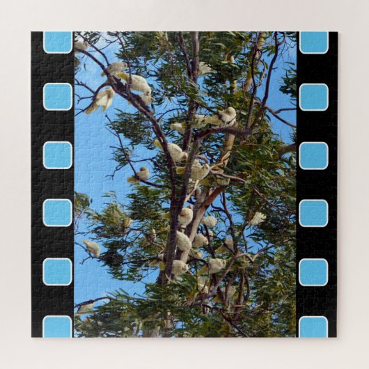 Puzzle Cockatoos Australiens Sauvages Dans Les Gommes, (Horizontal)