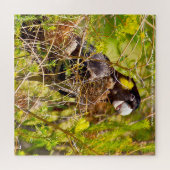 Puzzle Cockatoscope noir à queue jaune Australie (Horizontal)