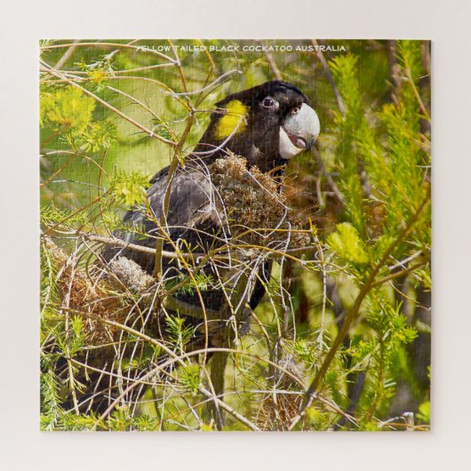 Puzzle Cockatoscope noir à queue jaune Australie (Vertical)