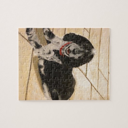 Puzzle Cocker (Horizontal)