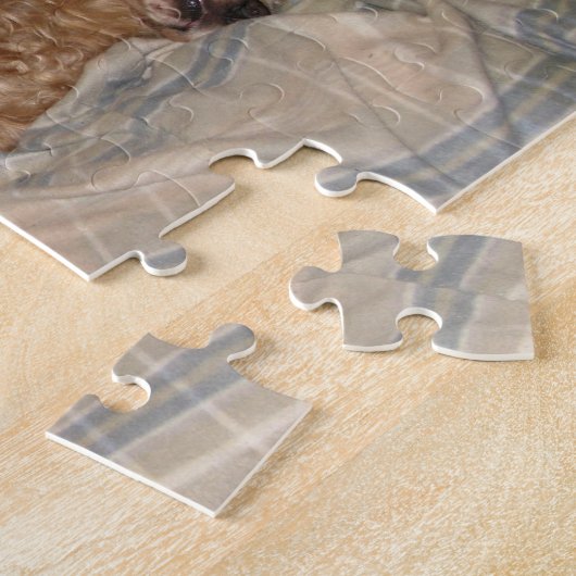 Puzzle Cocker Lounging (Côté)