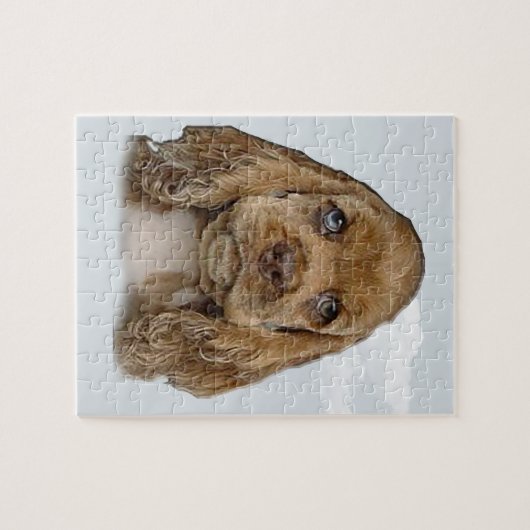 Puzzle Cocker spaniel (Horizontal)