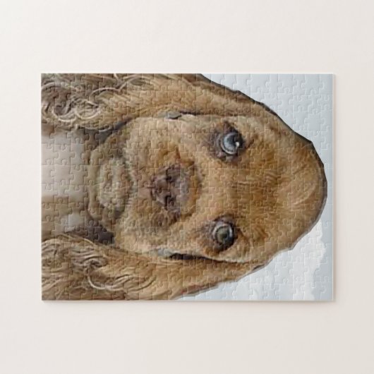 Puzzle Cocker spaniel (Horizontal)