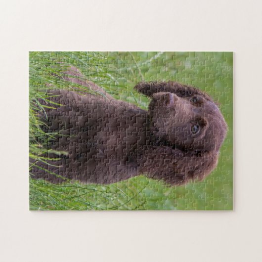 Puzzle Cocker Spaniel (Horizontal)