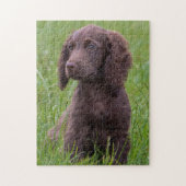 Puzzle Cocker Spaniel (Vertical)