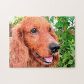 Puzzle Cocker Spaniel Chien (Horizontal)