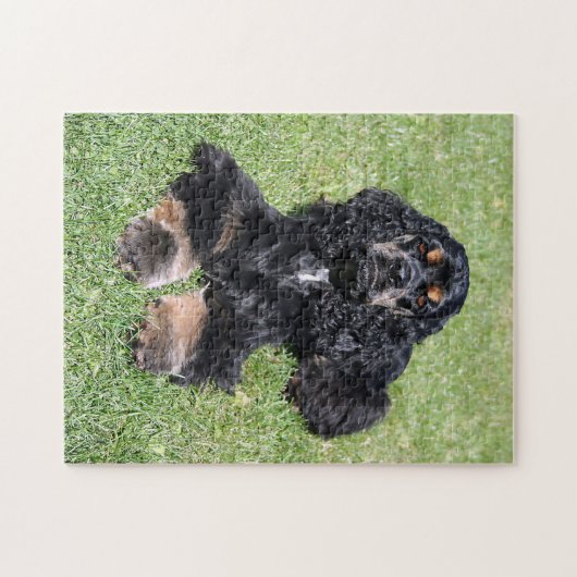 Puzzle Cocker Spaniel Photo (Horizontal)