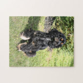 Puzzle Cocker Spaniel Photo 2 (Horizontal)