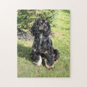 Puzzle Cocker Spaniel Photo 2 (Vertical)