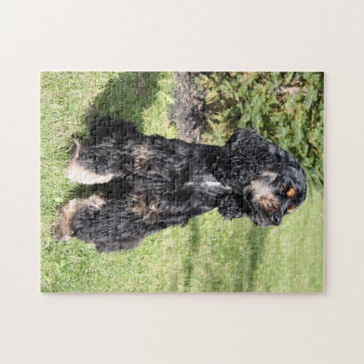 Puzzle Cocker Spaniel Photo 3 (Horizontal)