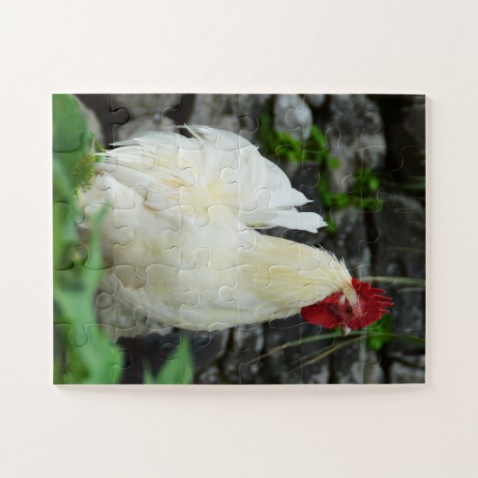 Puzzle Cockerel (Horizontal)