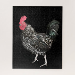 Puzzle Cockerel noir no 4