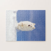 Puzzle Coconut - Snow Bear (Horizontal)
