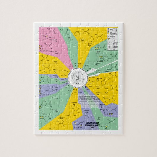Puzzle Code génétique pour des acides aminés (roue de (Vertical)