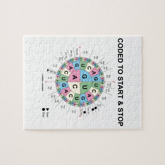 Puzzle Codé Pour Démarrer Et Arrêter (Roue Codon) (Horizontal)