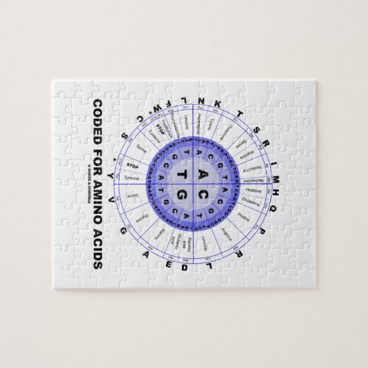 Puzzle Codé pour les acides aminés (ADN de code (Horizontal)