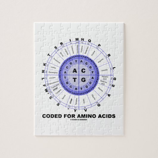 Puzzle Codé pour les acides aminés (ADN de code (Vertical)