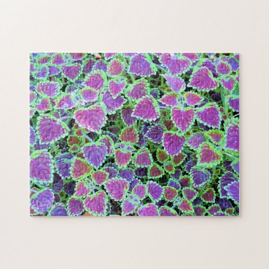 Puzzle Coleus bordeaux retombant (Horizontal)