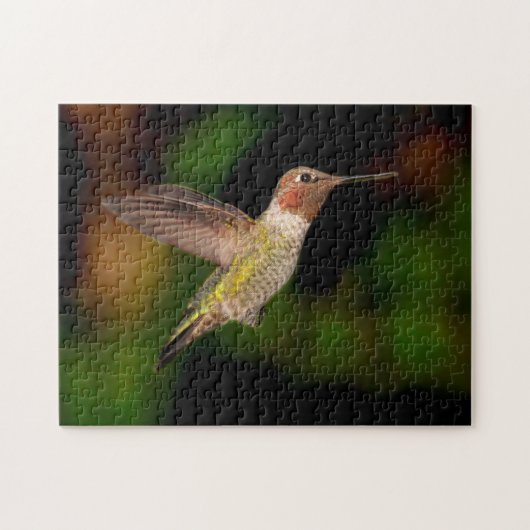 Puzzle Colibri (Horizontal)