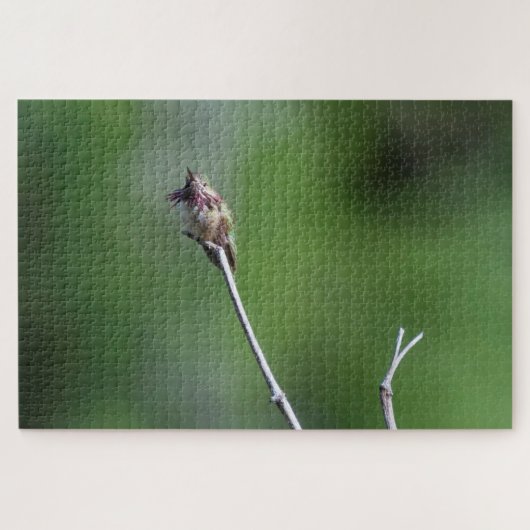 Puzzle Colibri (Horizontal)