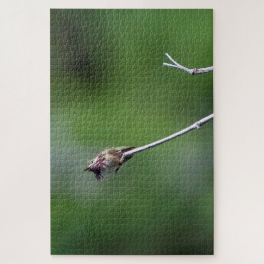 Puzzle Colibri (Vertical)