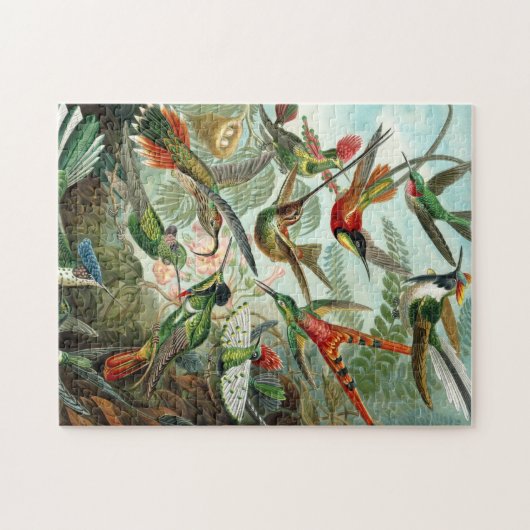 Puzzle Colibri (Horizontal)