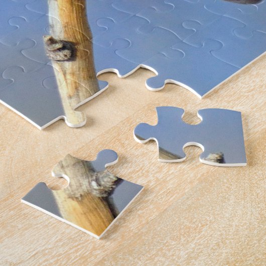 Puzzle Colibri (Côté)