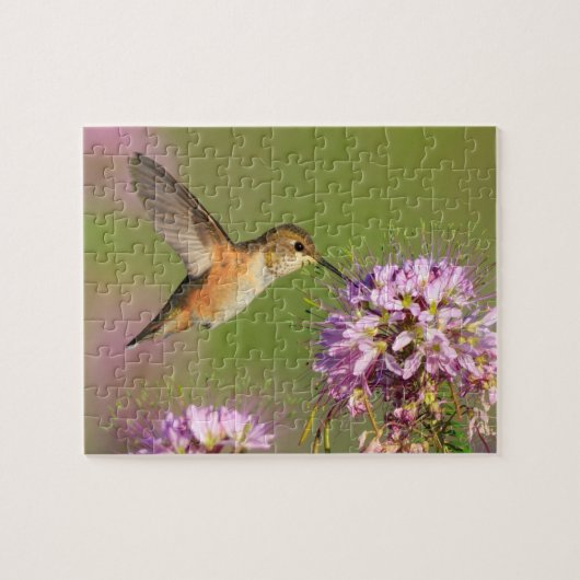 Puzzle Colibri (Horizontal)