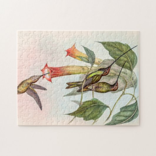 Puzzle Colibri à bec épée (Horizontal)