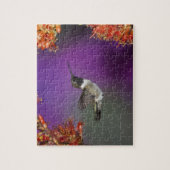 Puzzle Colibri, Archilochus alexandri, (Vertical)