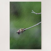 Puzzle Colibri Calliope (Vertical)