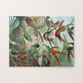 Puzzle Colibri coloré par Ernst Haeckel Poster (Horizontal)