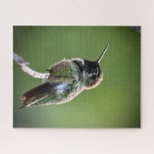 Puzzle Colibri d'Anna (Horizontal)