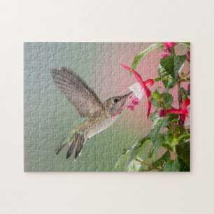 Puzzle Colibri d'Anna