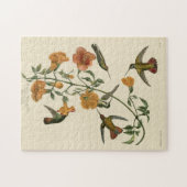 Puzzle Colibri de palétuvier (Horizontal)