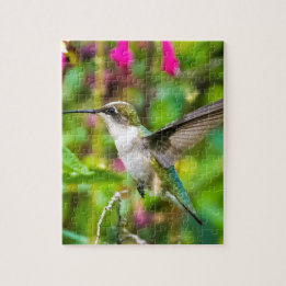 Puzzle Colibri en vol