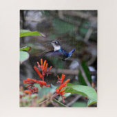 Puzzle Colibri en vol et fleurs rouges (Vertical)