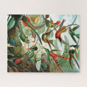 Puzzle Colibri par Ernst Haeckel (Horizontal)