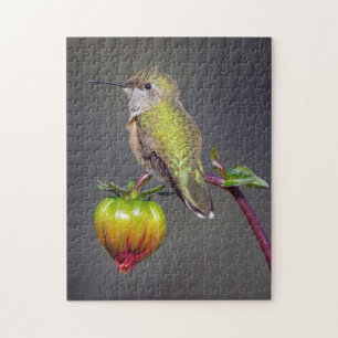 Puzzle Colibri se repose sur un bouton de fleur