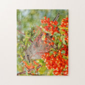 Puzzle Colibri solitaire de Townsend sur la Pyracantha (Vertical)