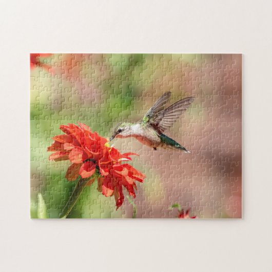 Puzzle Colibri sur un plante à fleurs (Horizontal)