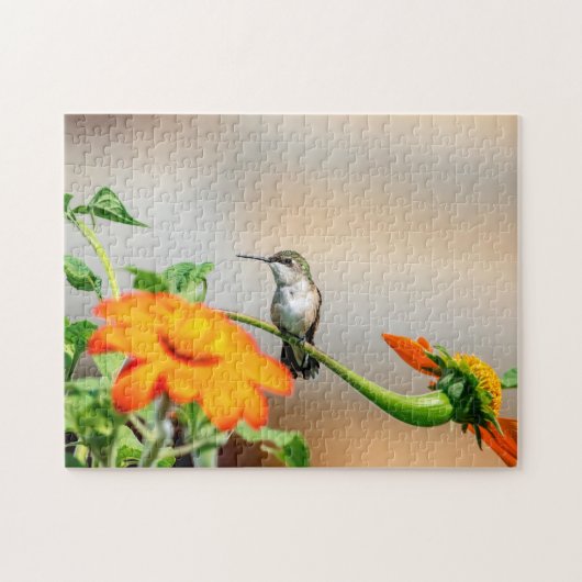 Puzzle Colibri sur un plante à fleurs (Horizontal)